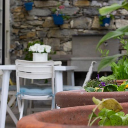 Apartament Casa Gatto Miao Rapallo Zewnętrze zdjęcie